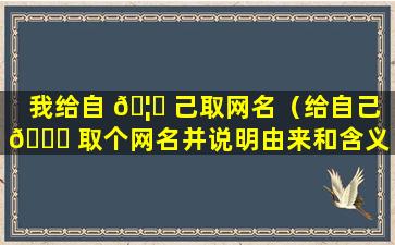 我给自 🦉 己取网名（给自己 🐅 取个网名并说明由来和含义）